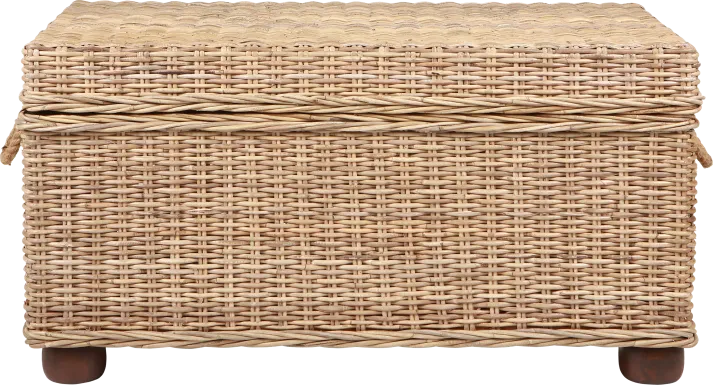 Nahant Tan Storage Trunk