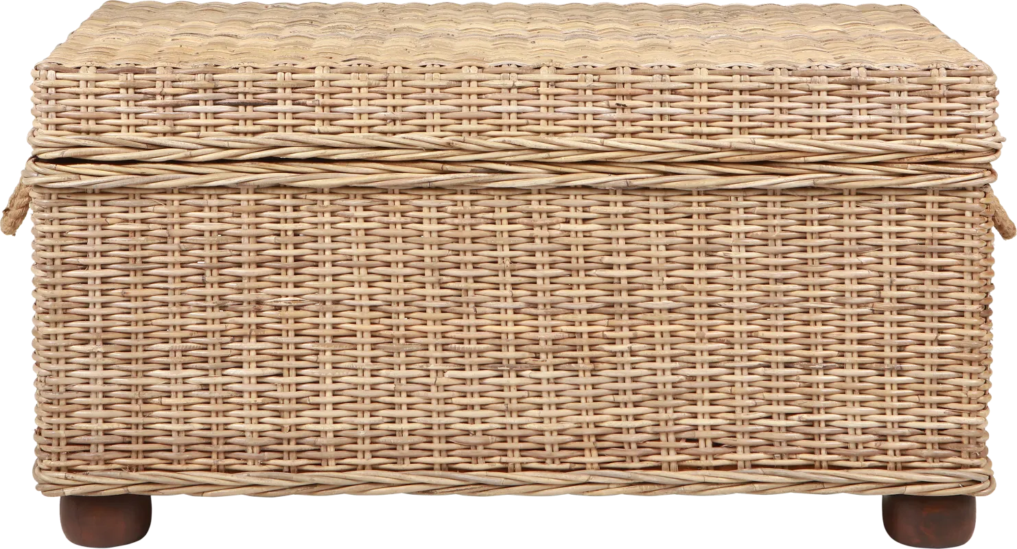 Nahant Tan Storage Trunk