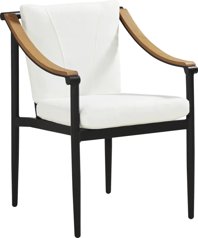 Harlowe Black Outdoor Arm Chair with White Cushions