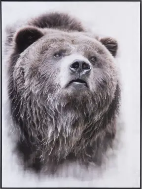 Cantrice Black Artwork