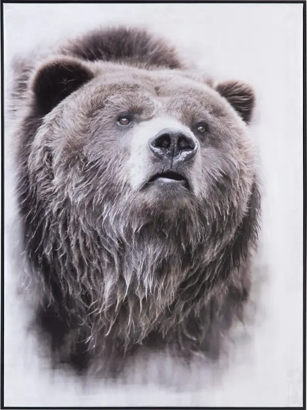 Cantrice Black Artwork