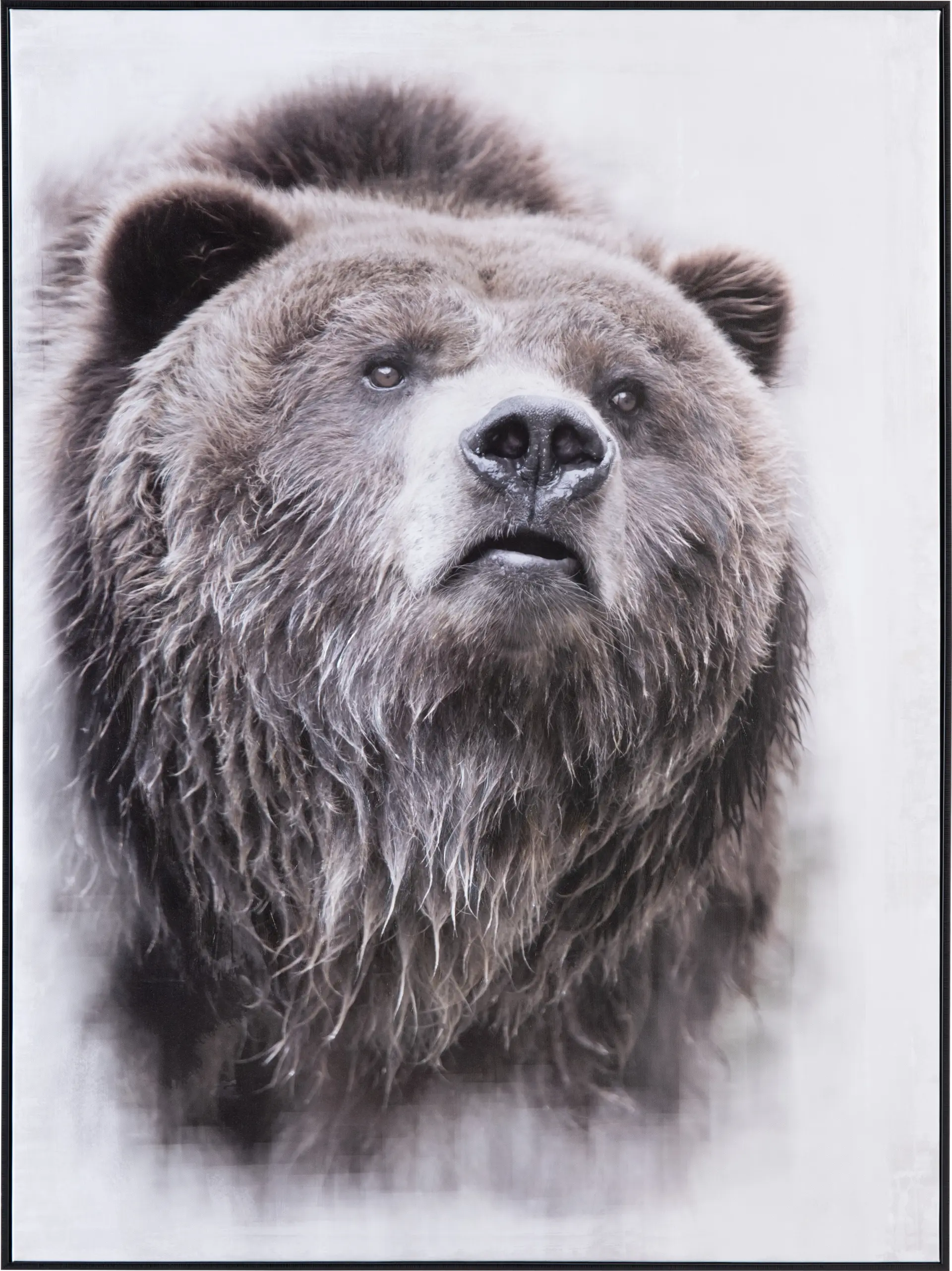 Cantrice Black Artwork