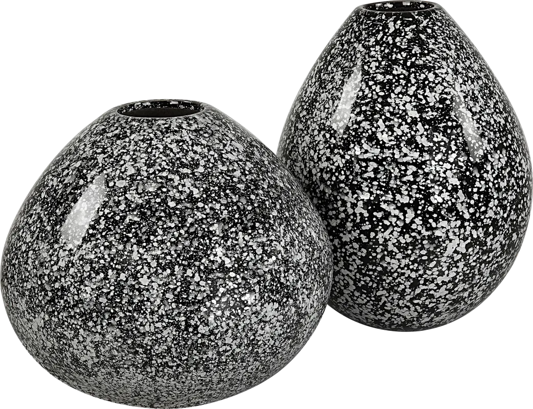 Gaerry Black Vase, Set 2