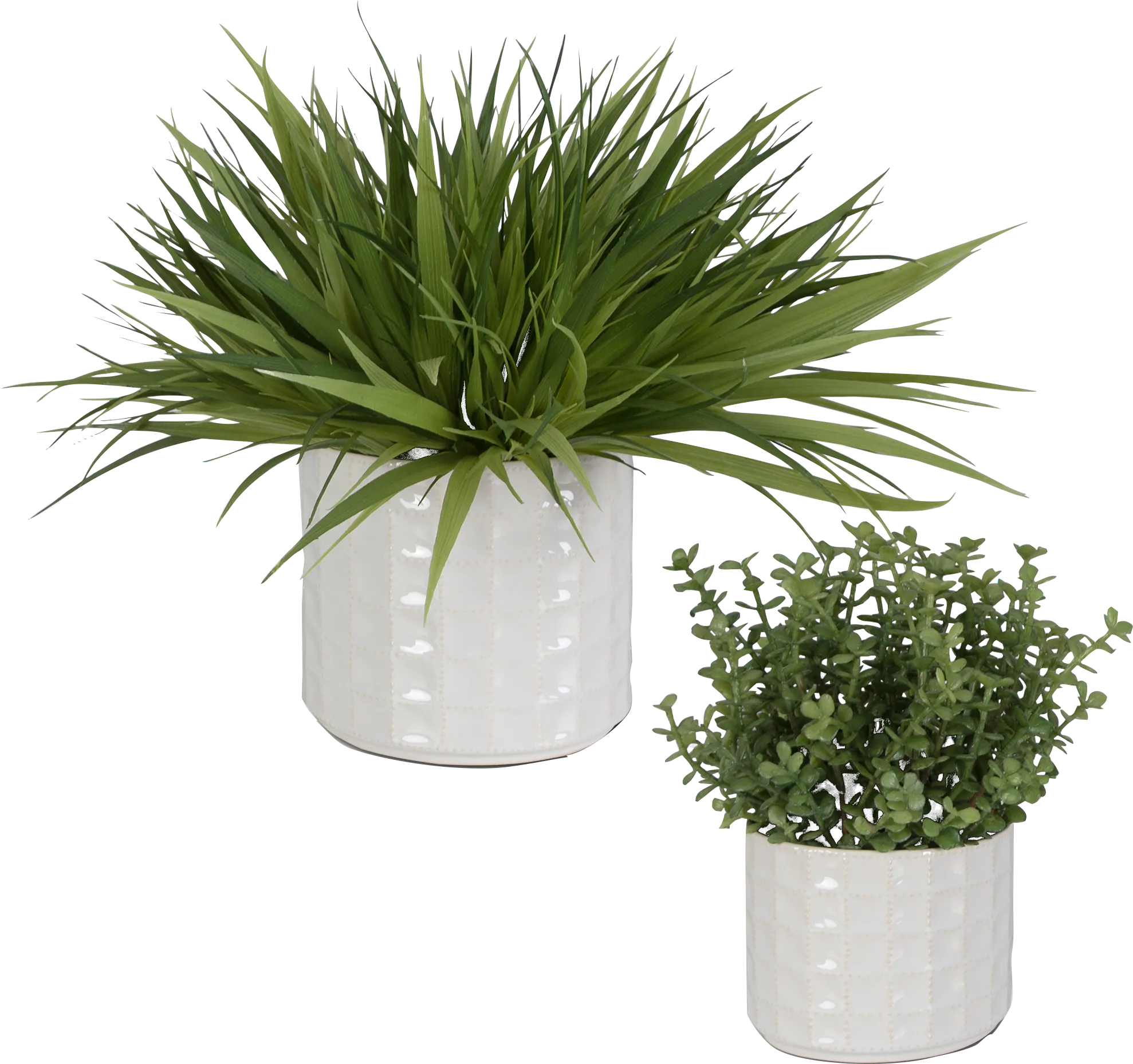 Farryn White Plant, Set of 2 - Thumbnail - Image 1