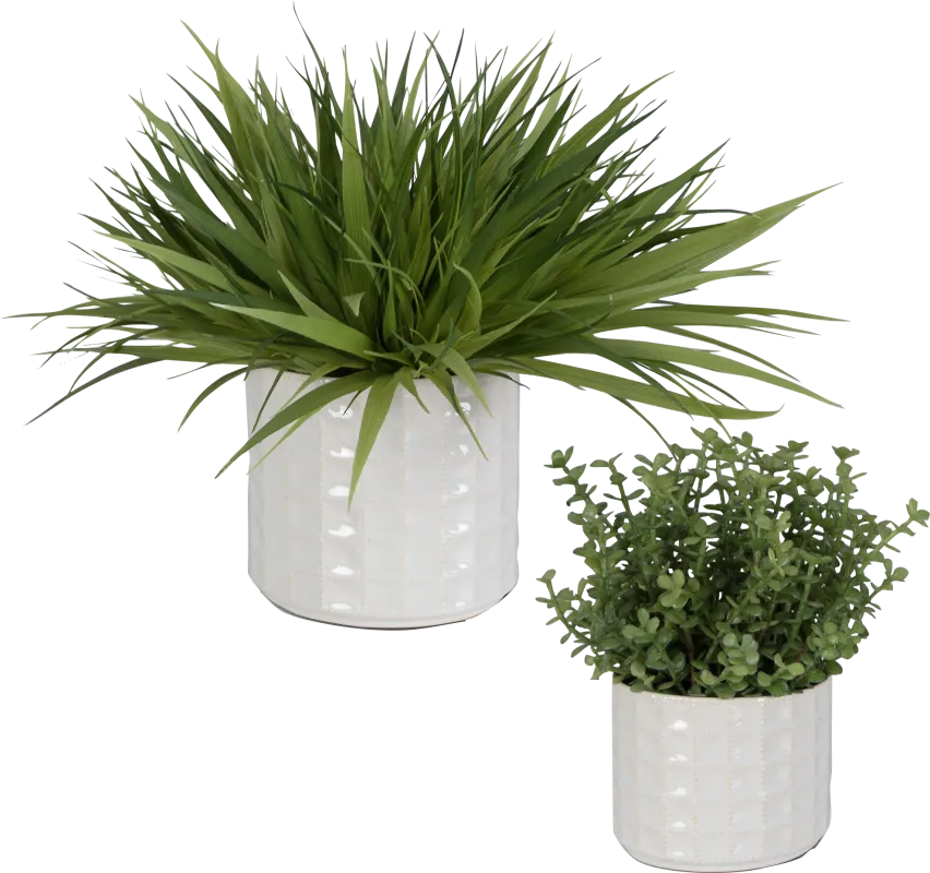 Farryn White Plant, Set of 2