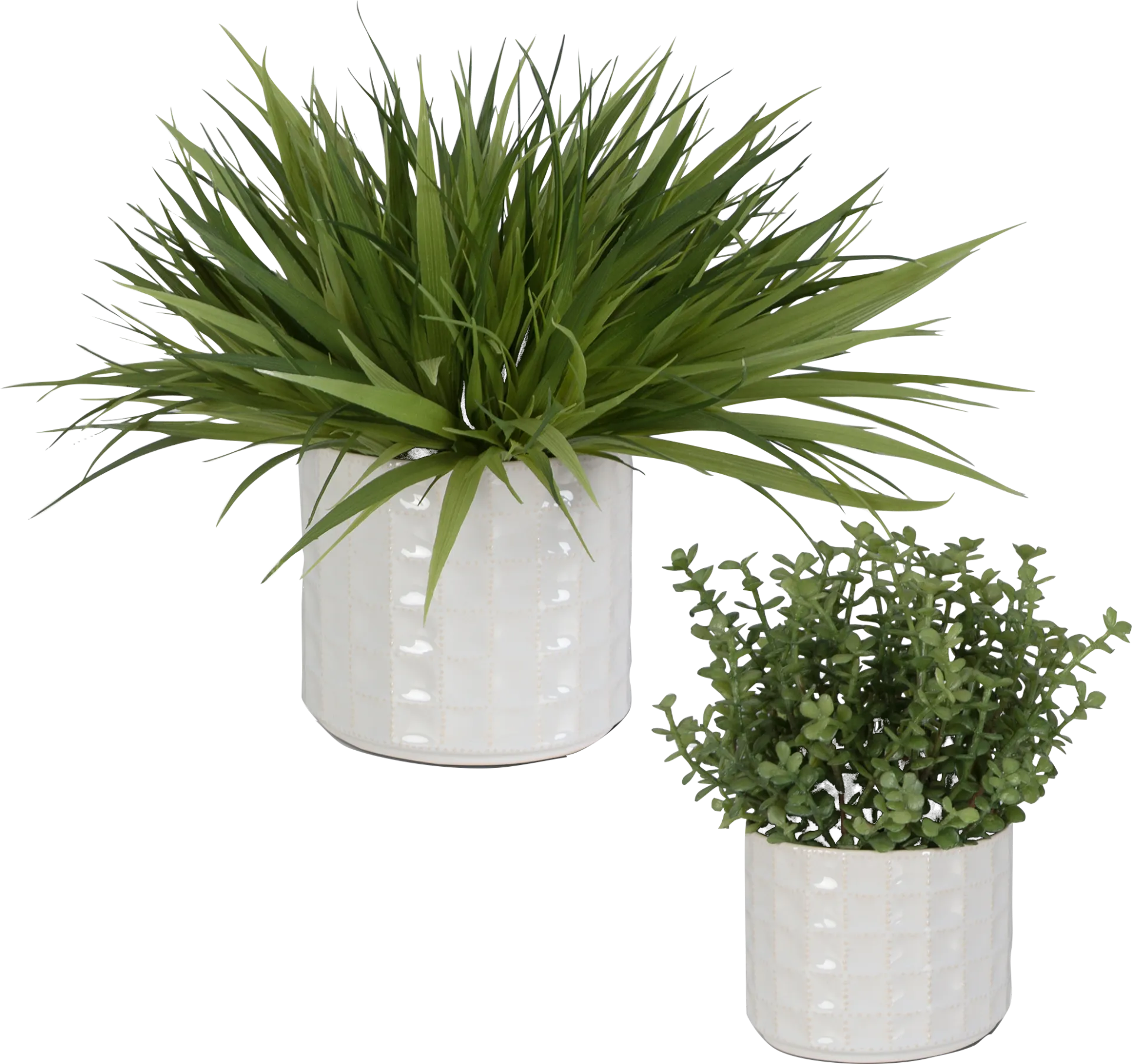 Farryn White Plant, Set of 2 - Image 1