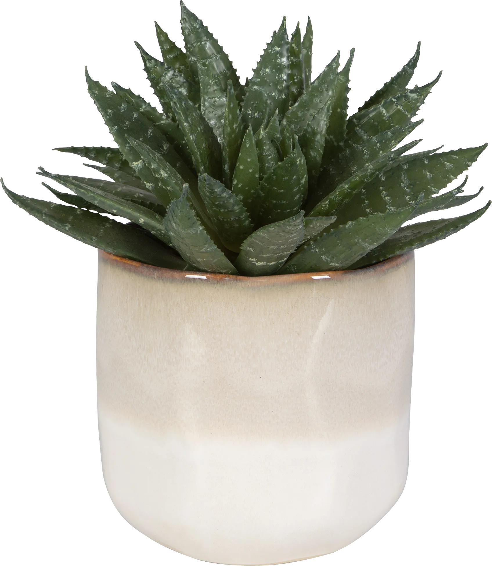 Halteese Beige Plant - Image 1