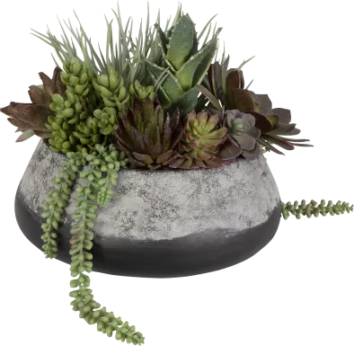 Bijou Gray Silk Plant