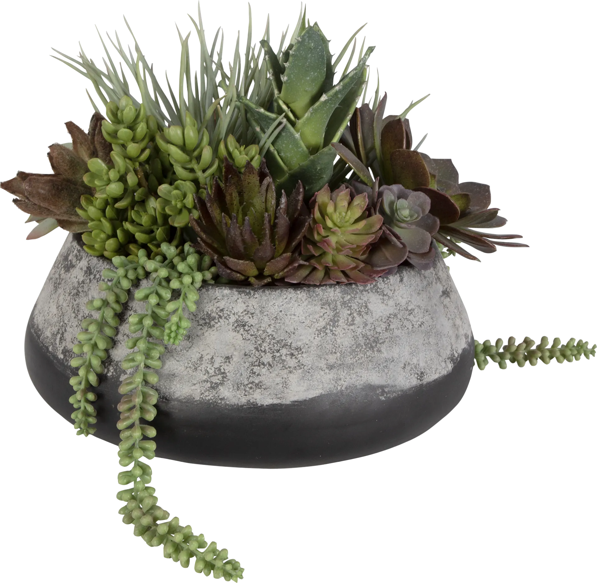 Bijou Gray Silk Plant - Image 1