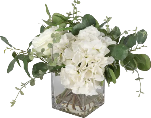 Carolus White Plant