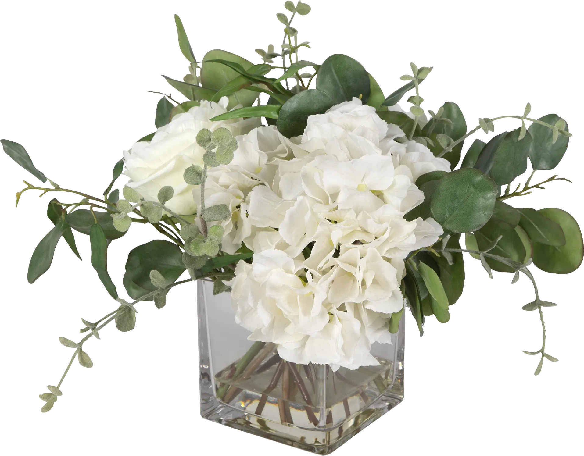 Carolus White Plant