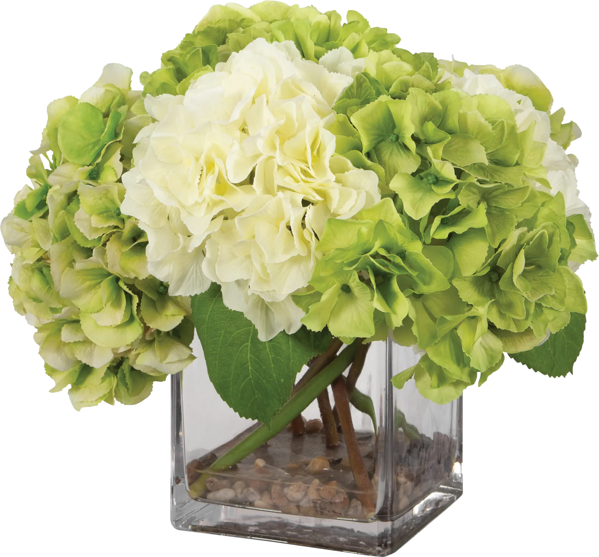 Berl White Plant - Image 1
