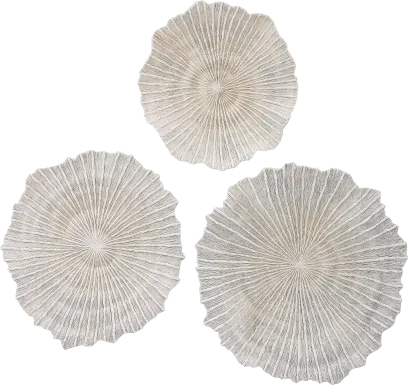 Pacha White Wall Decor, Set of 3