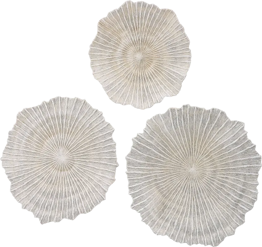 Pacha White Wall Decor, Set of 3
