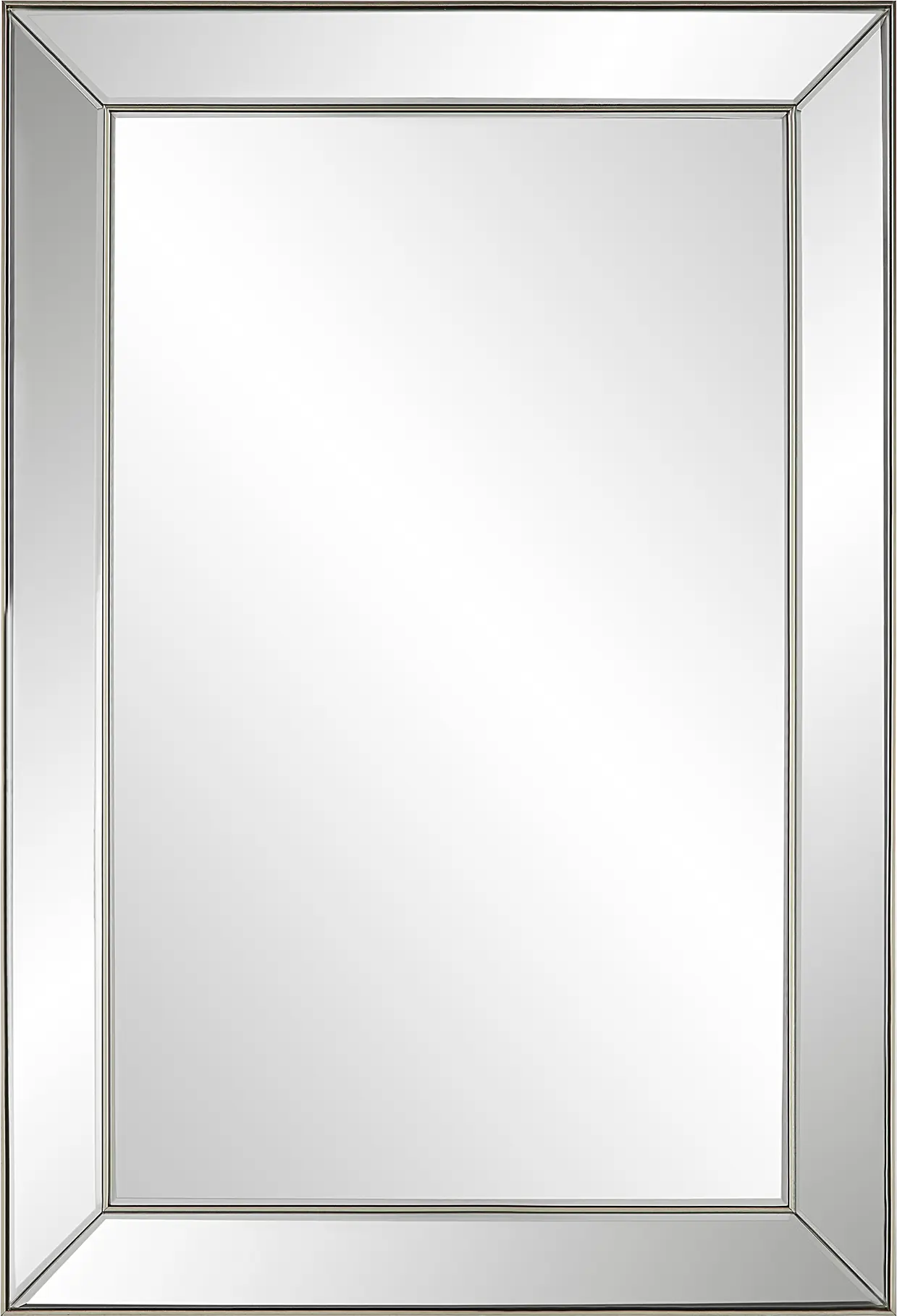 Daphnea Silver Mirror