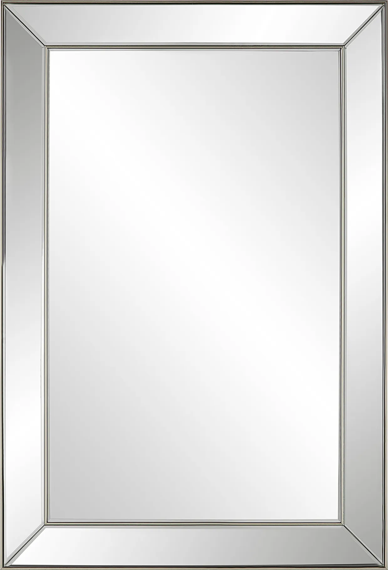 Daphnea Silver Mirror - Image 1