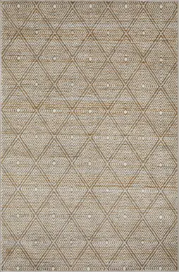 Alburnt Beige 5'3 x 7'3 Area Rug