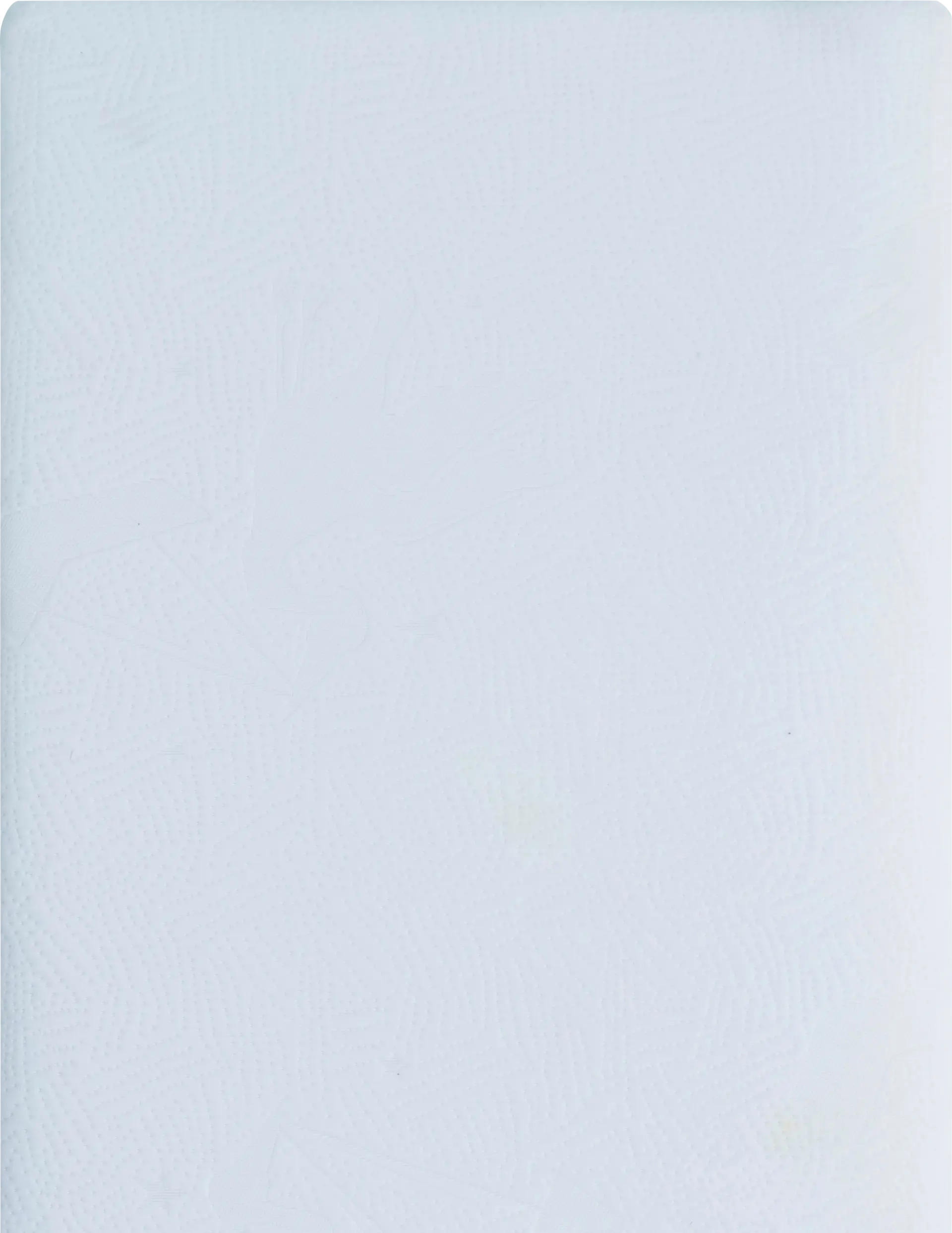 Bundle of Dreams Ecozy Kids 5" Crib Mattress