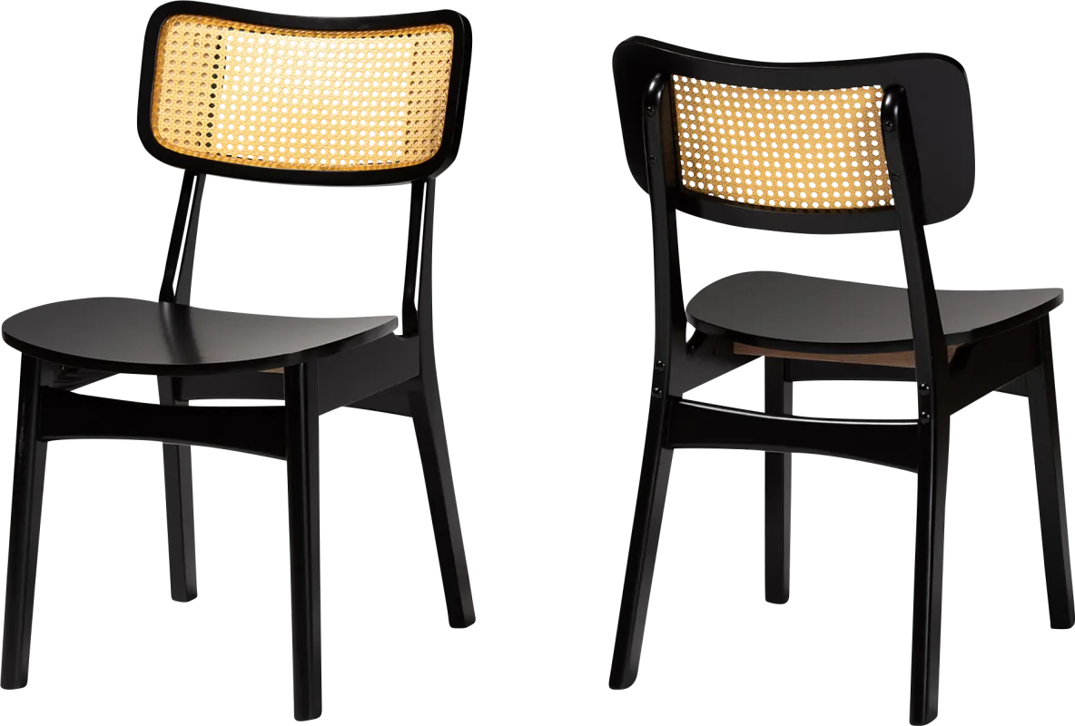 Bolgiano Dark Brown Dining Chair, Set of 2