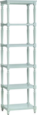 Montmorenci Turquoise Bookcase