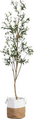 Amersham Green Artificial Olive Tree