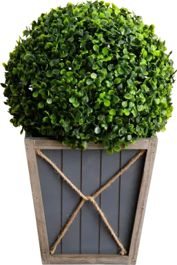 Appleberry I Green Artificial Boxwood Ball Topiary