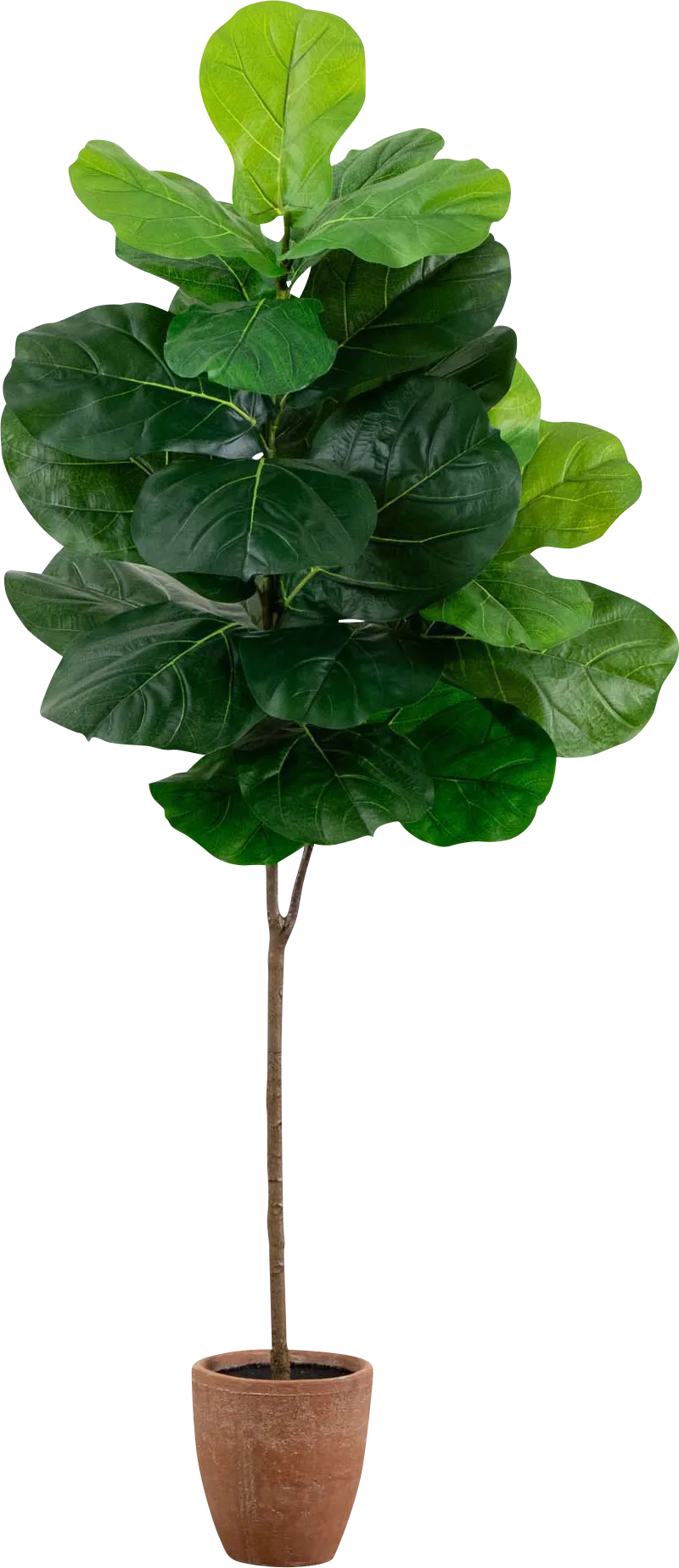 Barrasett II Green Artificial Fig Tree - Thumbnail - Image 1