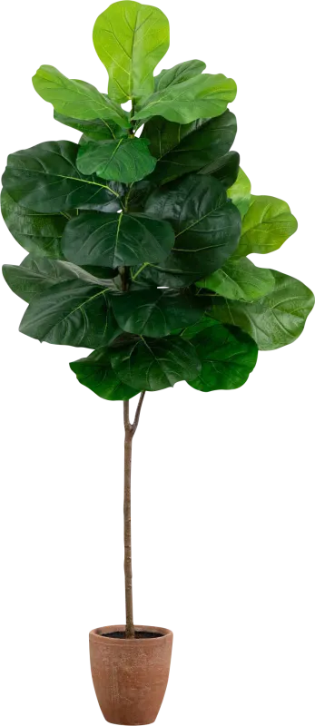 Barrasett II Green Artificial Fig Tree