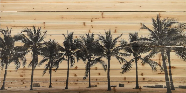 Dupleix Multi Artwork