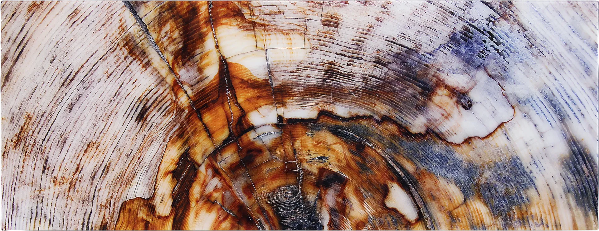 Obeche I Multi Artwork