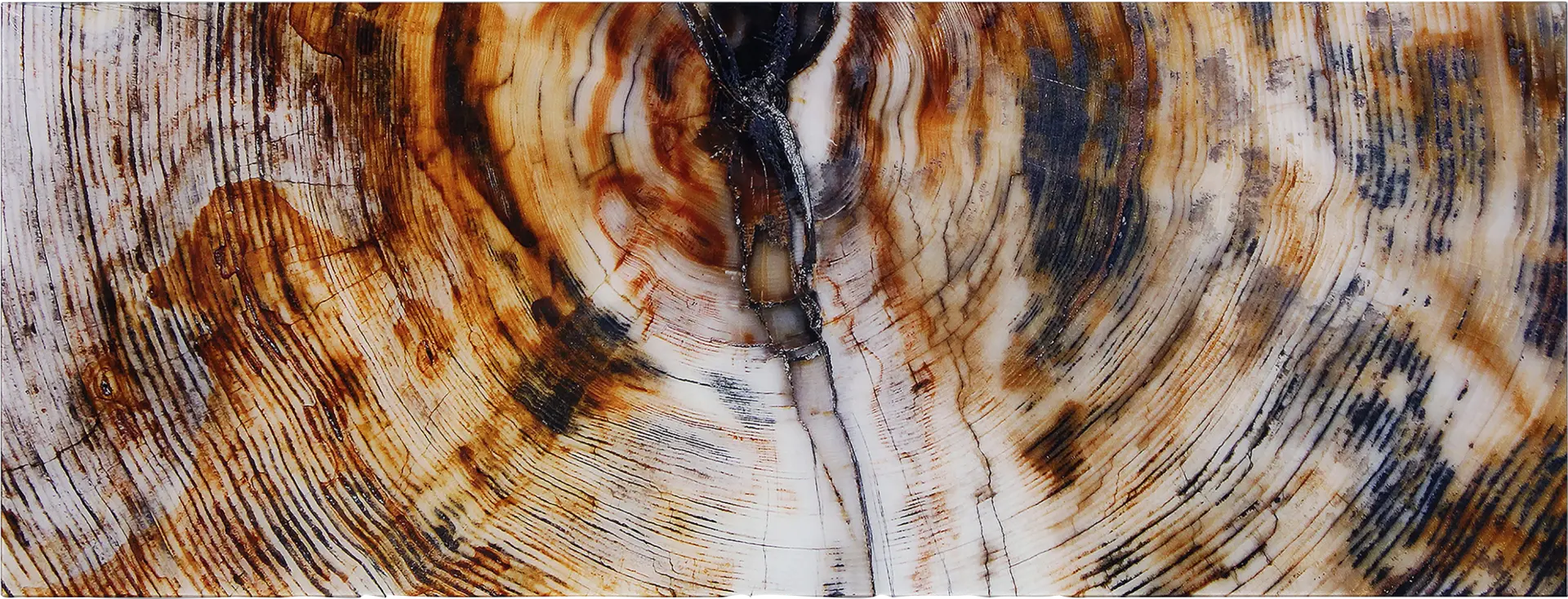 Obeche II Multi Artwork