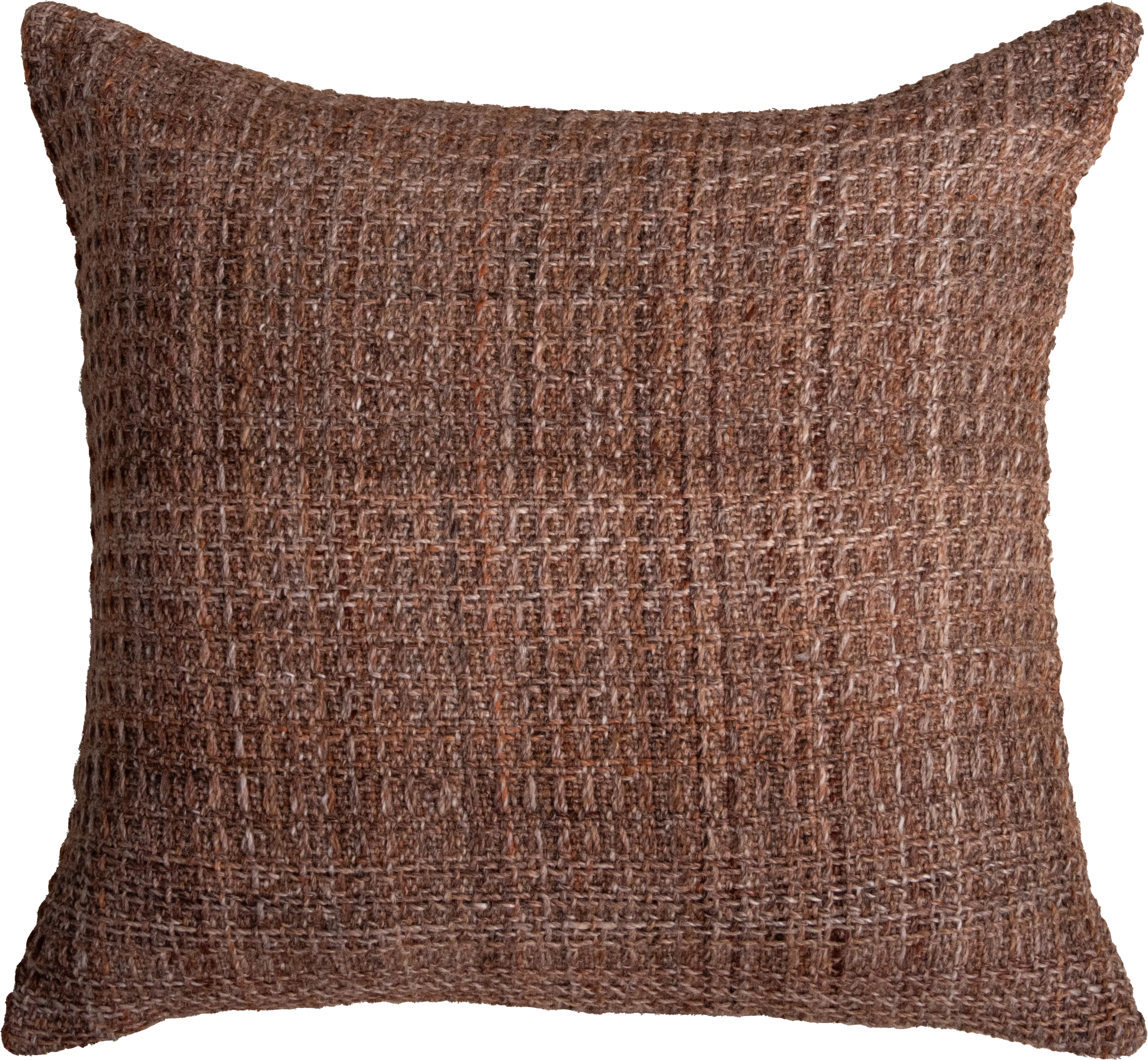 Paulur Cinnamon Indoor/Outdoor Accent Pillow