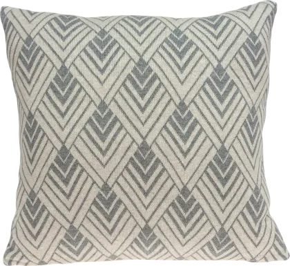 Aneira Tan Accent Pillow