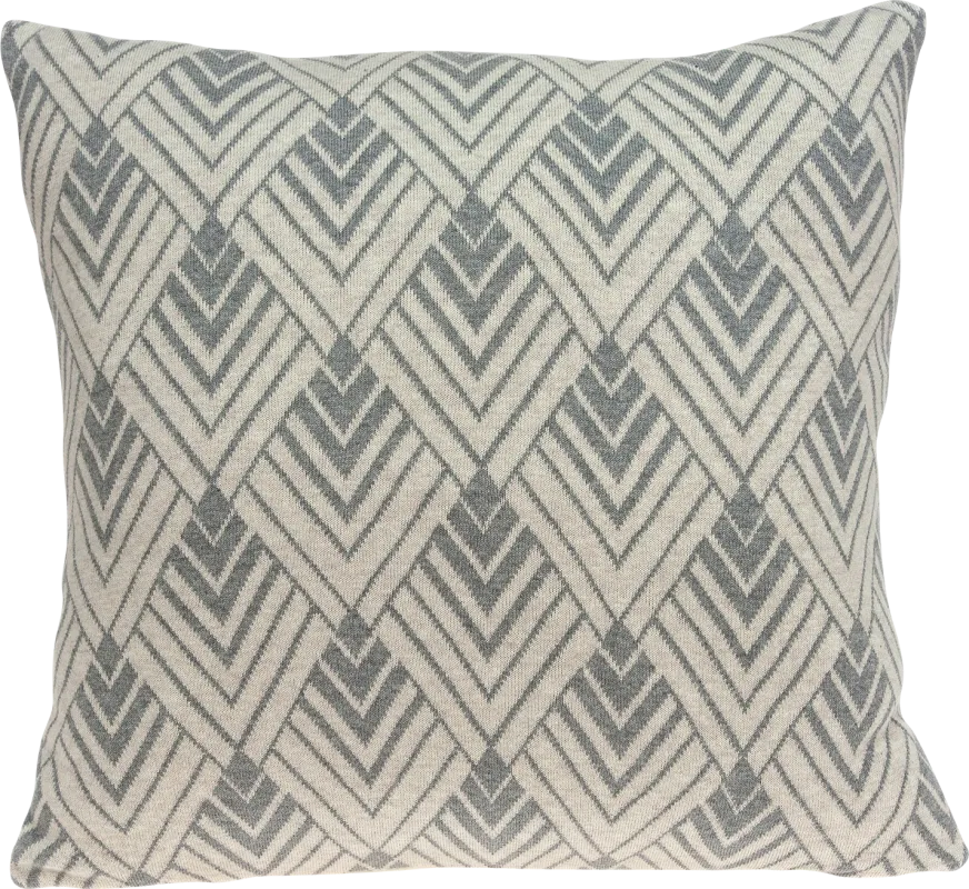 Aneira Tan Accent Pillow