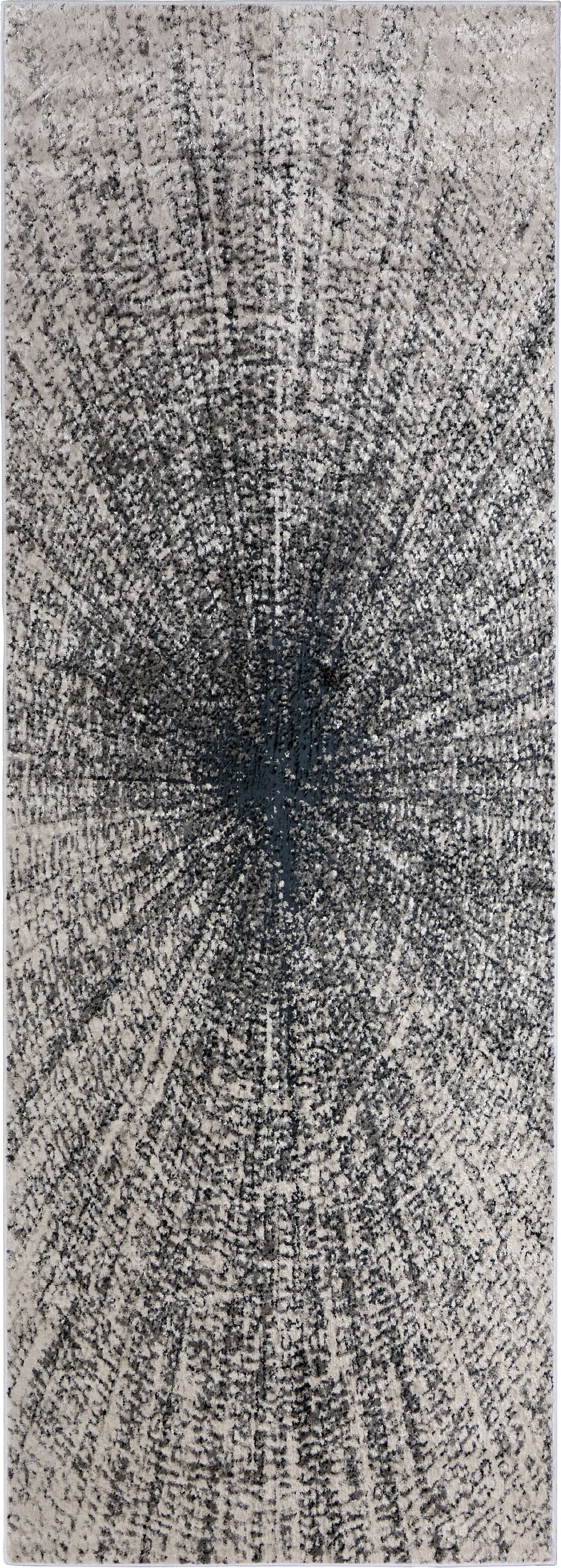 Corrarith Dark Gray 2'10 x 7'10 Runner Rug