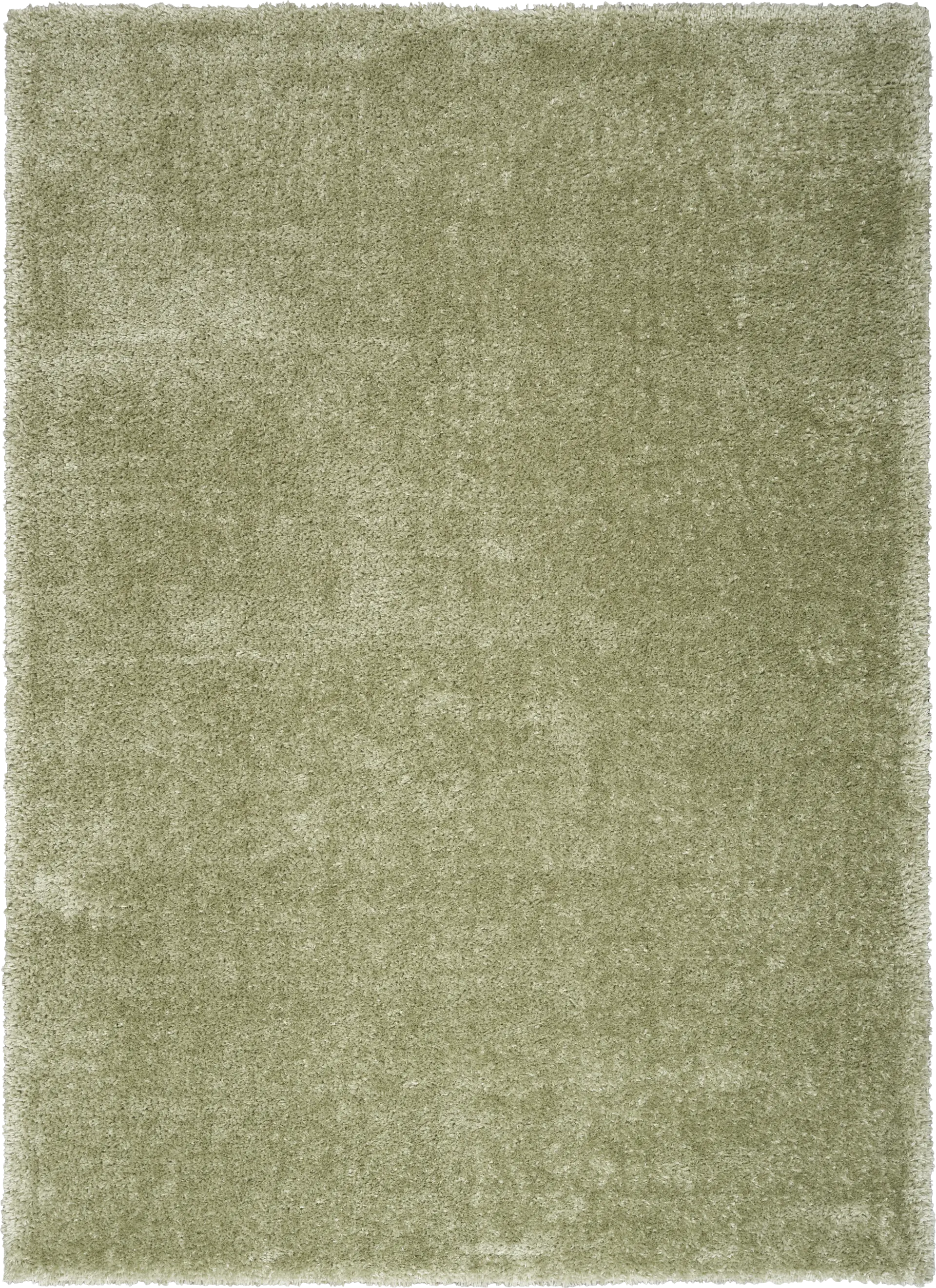Lanstead Green 5'3 x 7'3 Rug