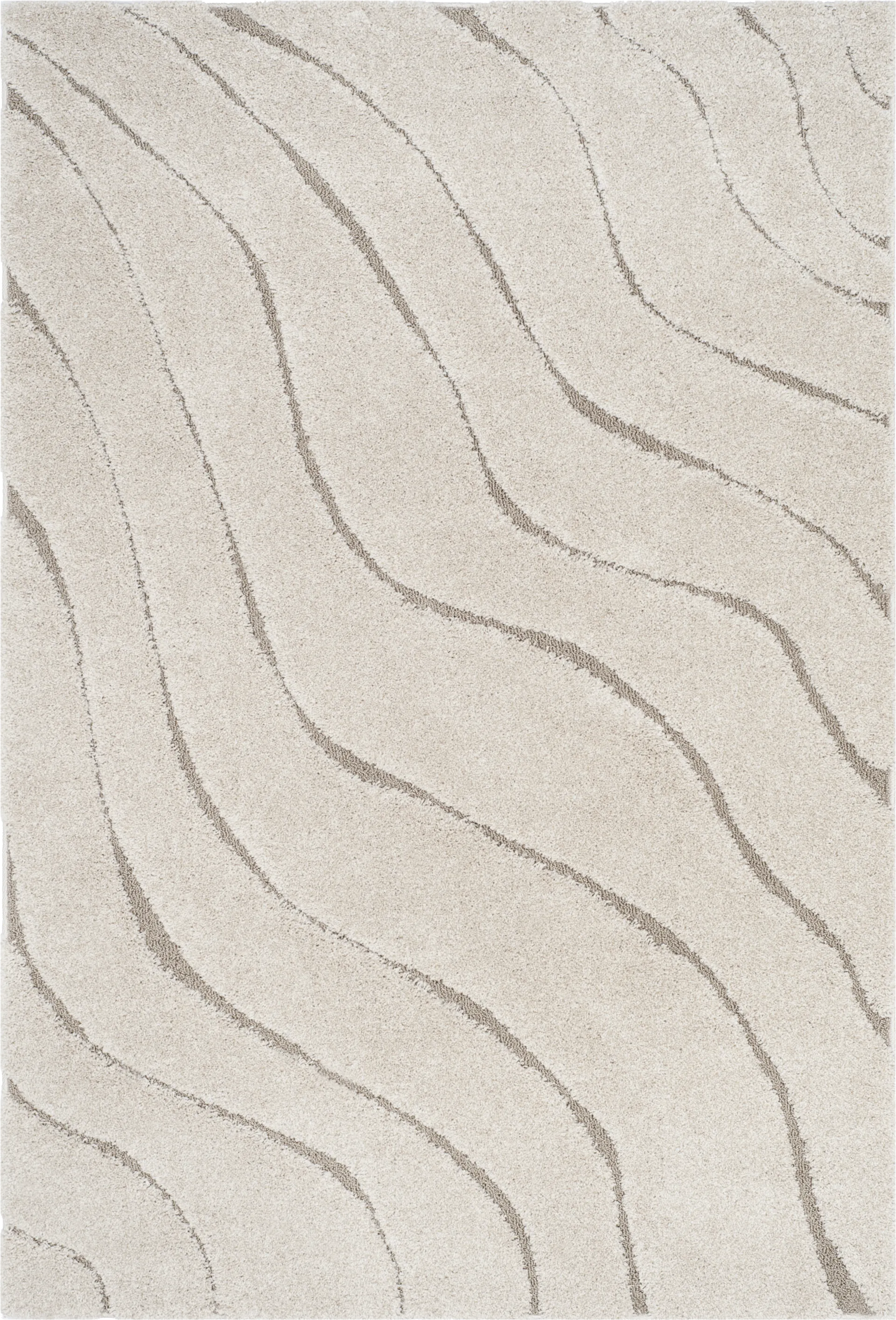 Ocean Gray Beige 5'3 x 7'6 Rug - Image 1