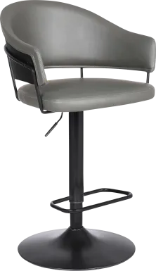 Shaahnaz Gray Adjustable Barstool
