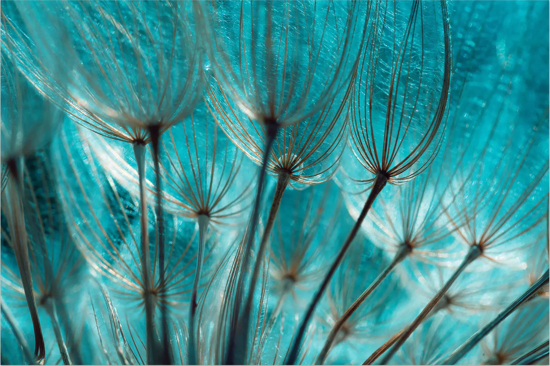 Wymas Blue Artwork - Image 1