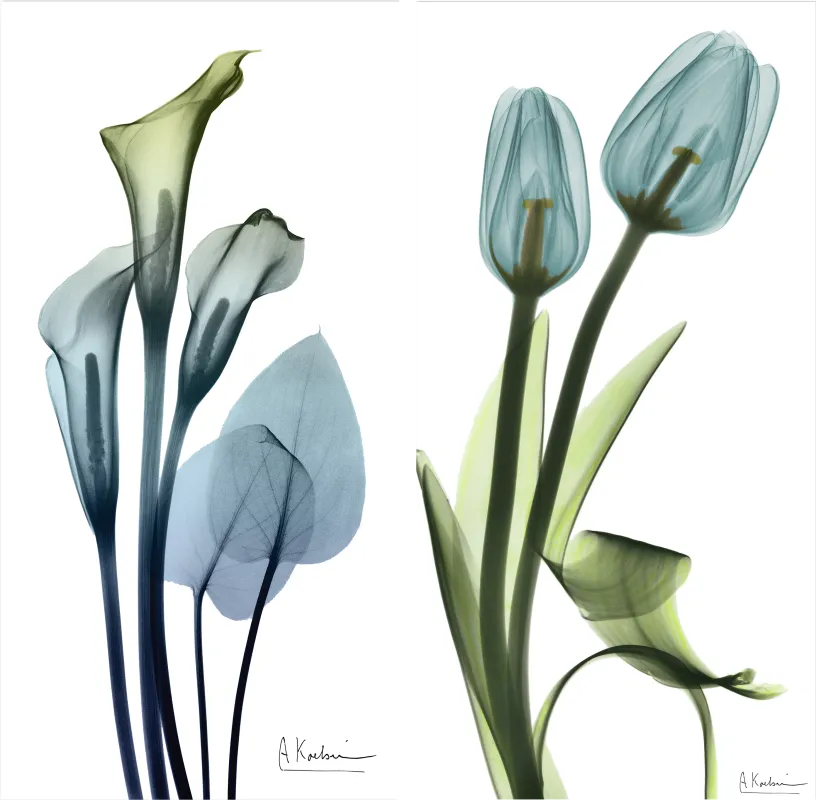 Bowra Blue Artwork, Set of 2