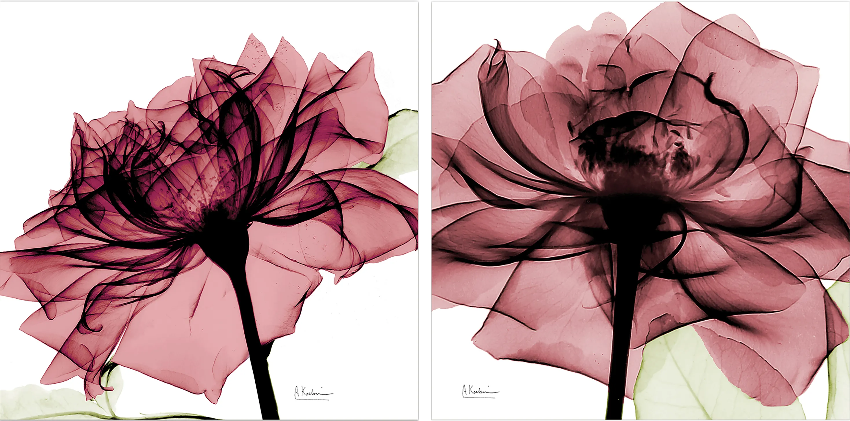 Chamizal Pink Artwork, Set of 2 - Thumbnail - Image 1