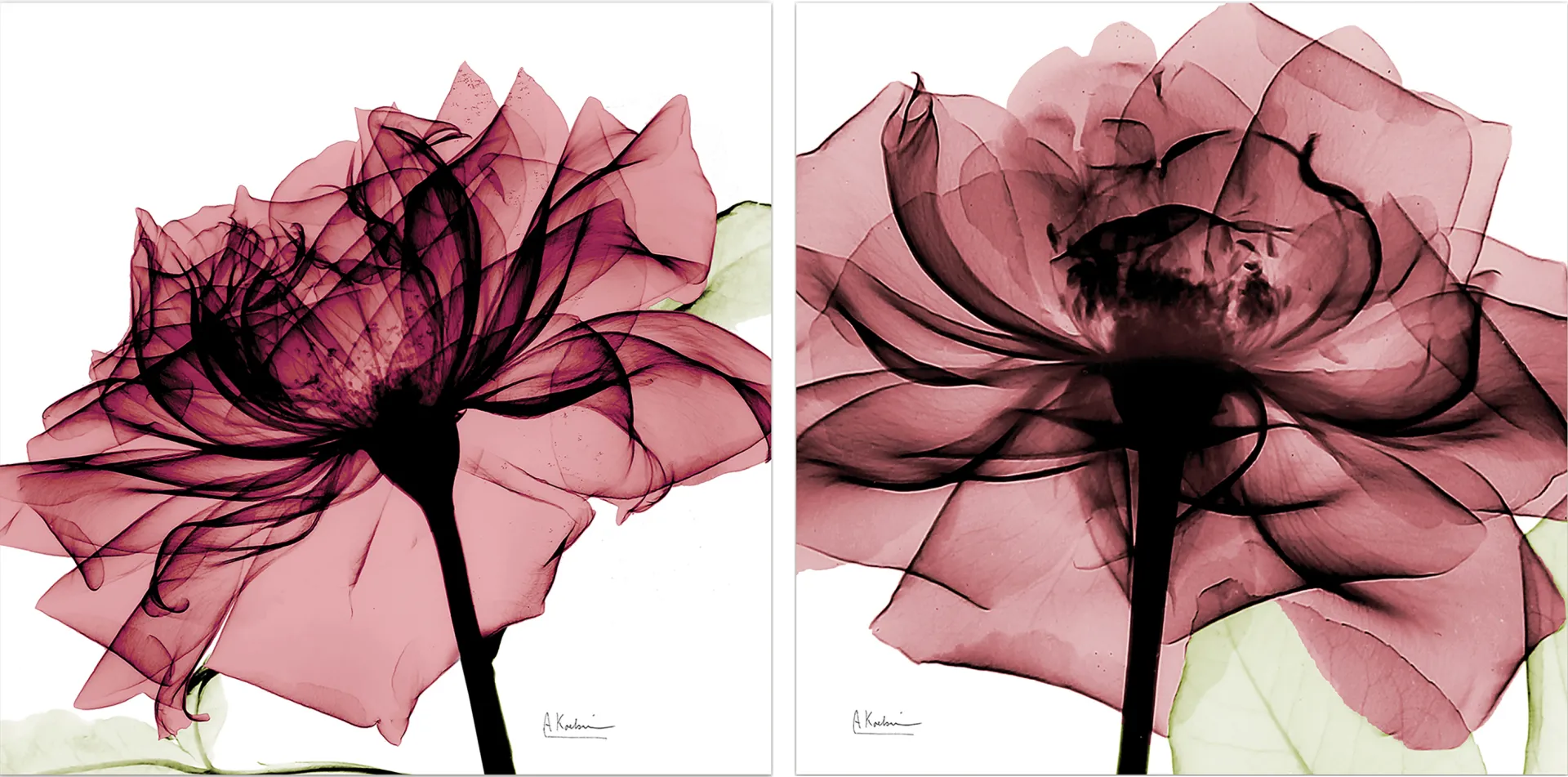 Chamizal Pink Artwork, Set of 2 - Image 1