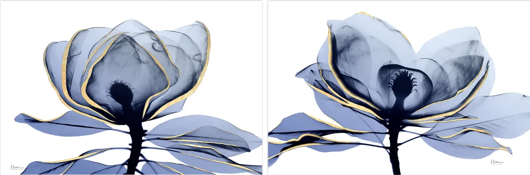 Costales Blue Artwork, Set of 2