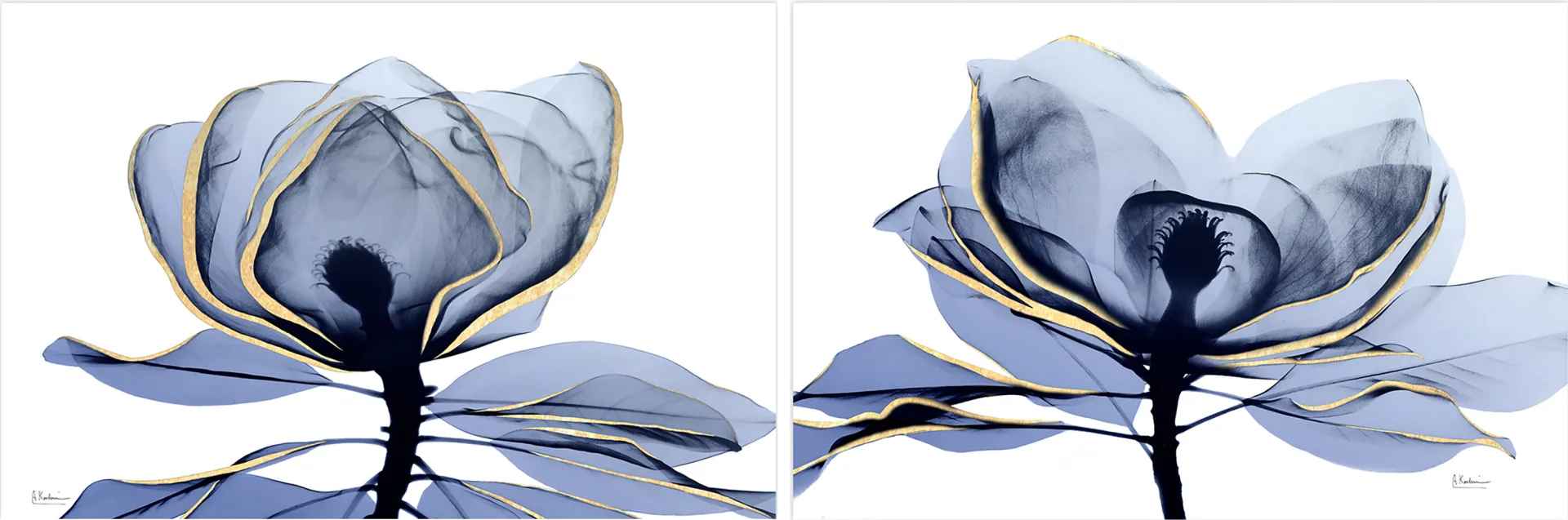 Costales Blue Artwork, Set of 2