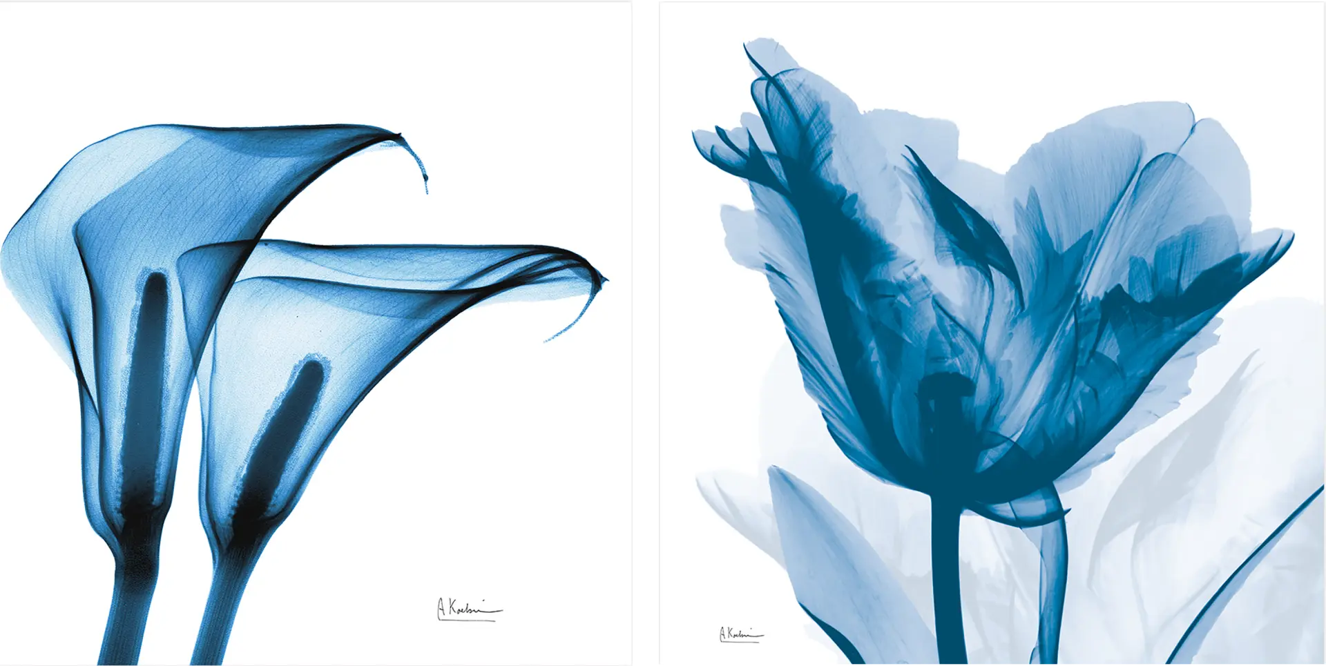 Curnutt Blue Artwork, Set of 2
