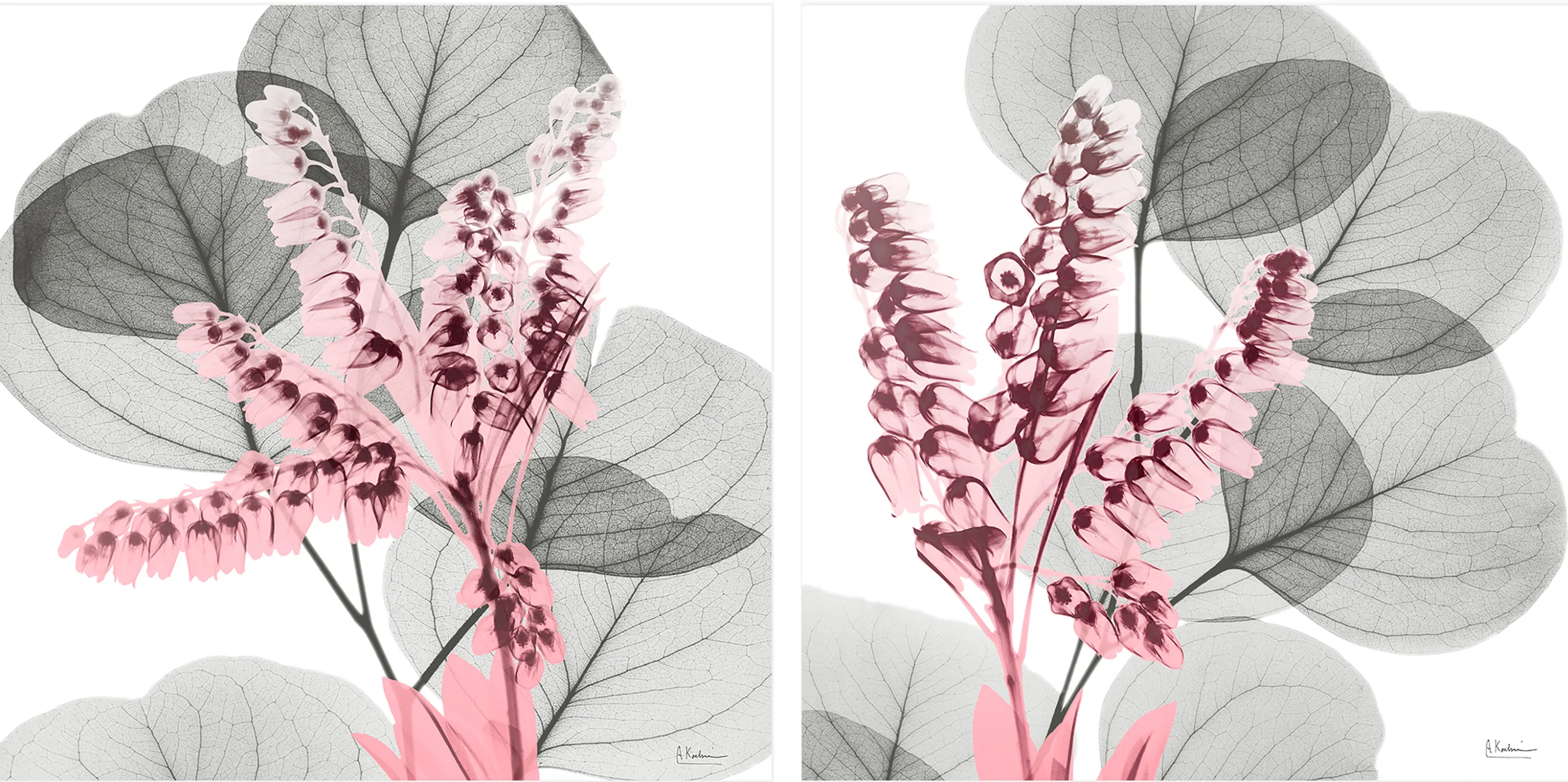 Dormilon Gray Artwork, Set of 2 - Thumbnail - Image 1