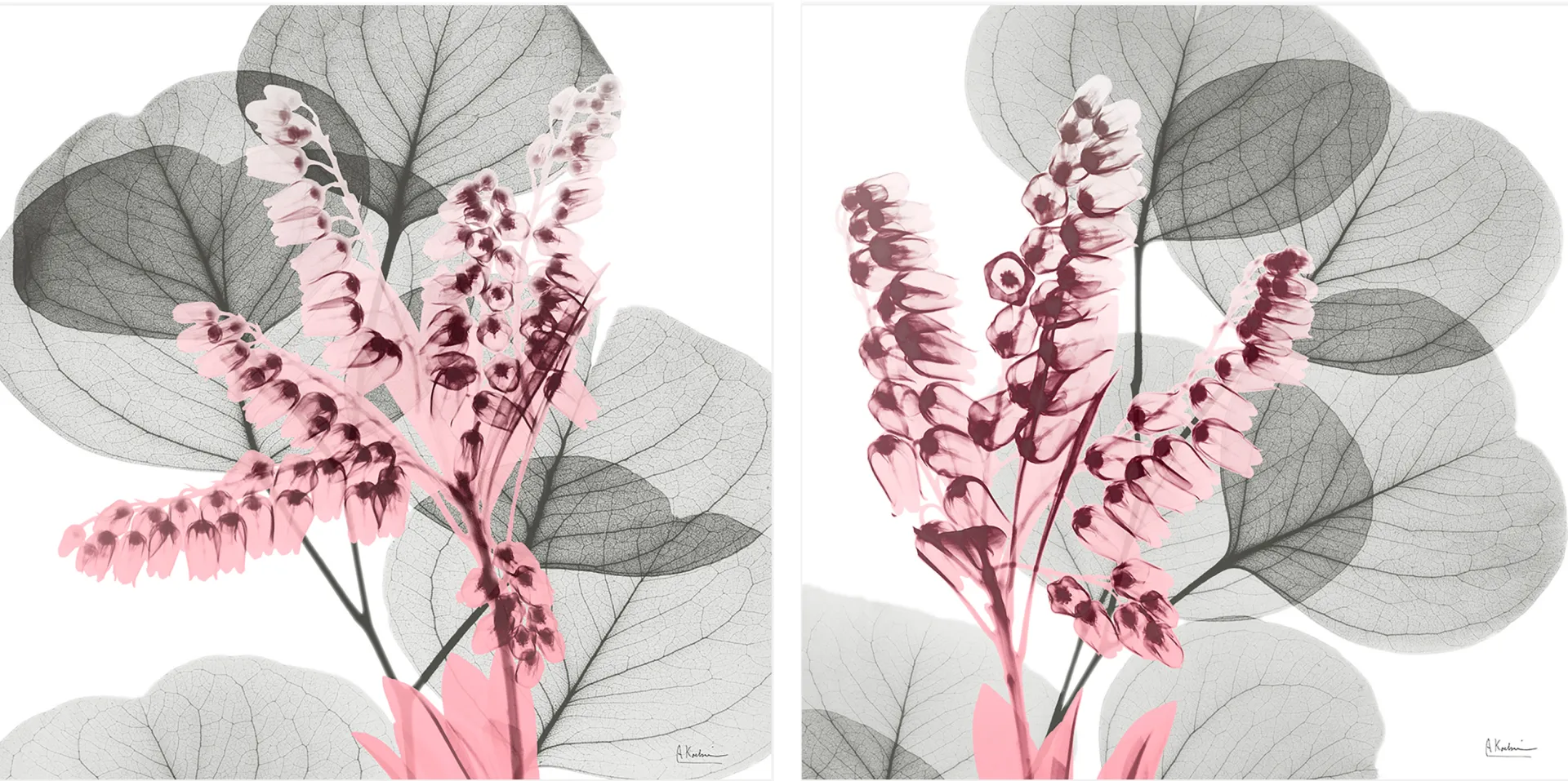 Dormilon Gray Artwork, Set of 2 - Image 1