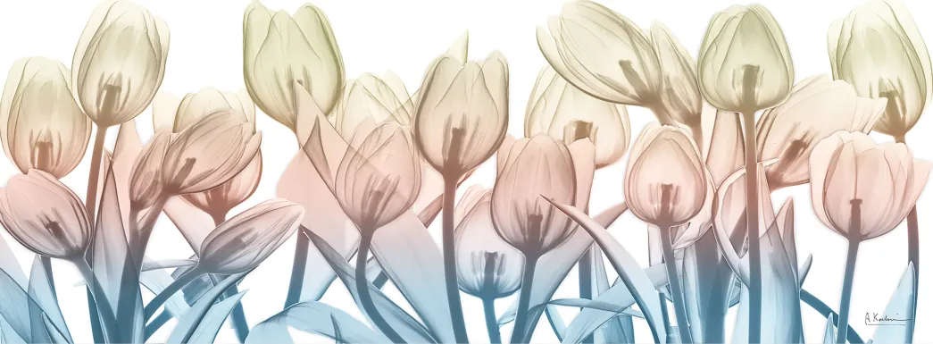 Rexview Blue Artwork