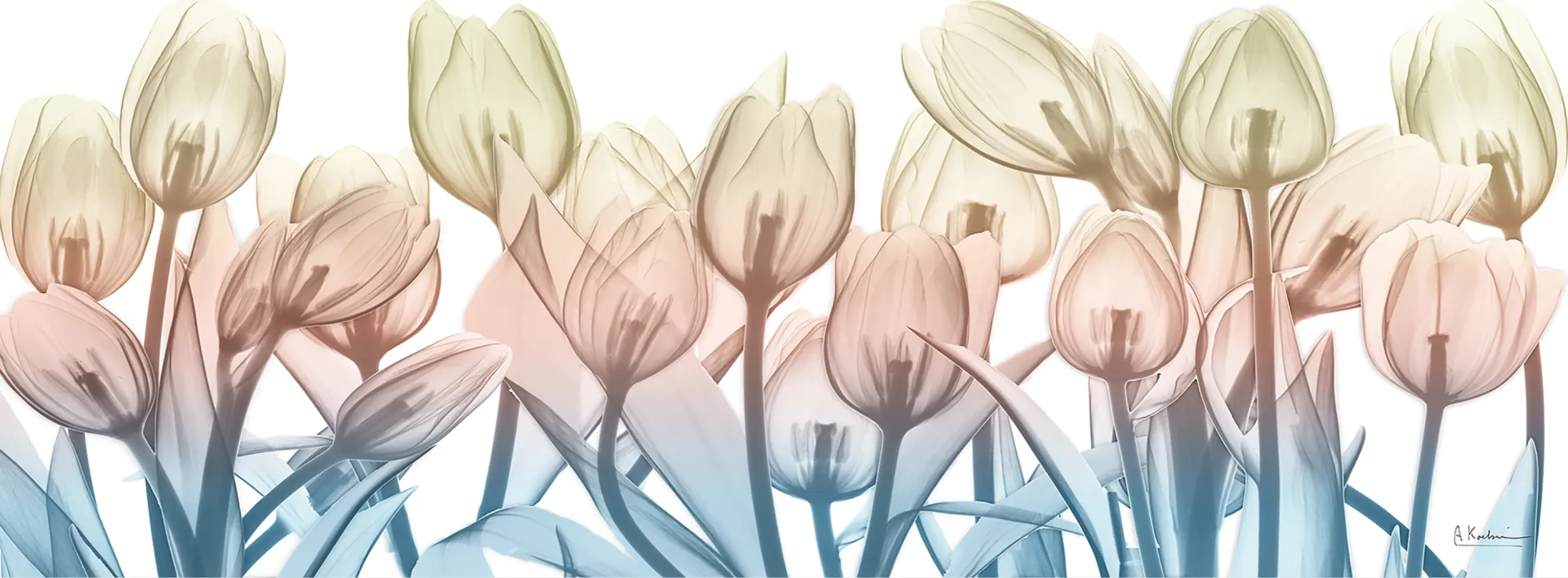 Rexview Blue Artwork - Image 1