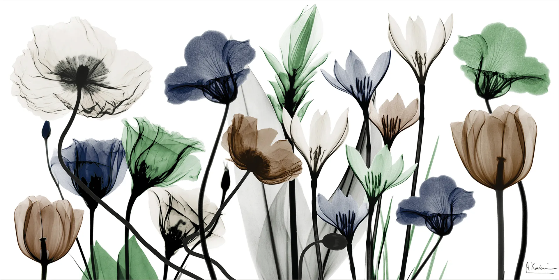 Rillito Multi Artwork - Image 1